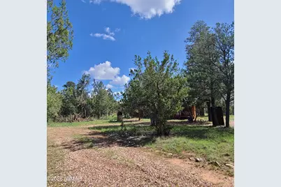 3091 Az-277, Overgaard, AZ 85933 - Photo 10