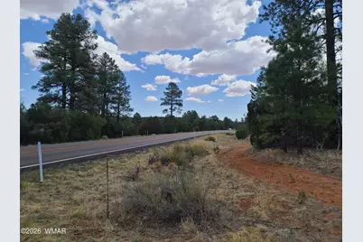 3091 Az-277, Overgaard, AZ 85933 - Photo 16