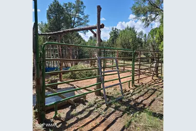 3091 Az-277, Overgaard, AZ 85933 - Photo 36