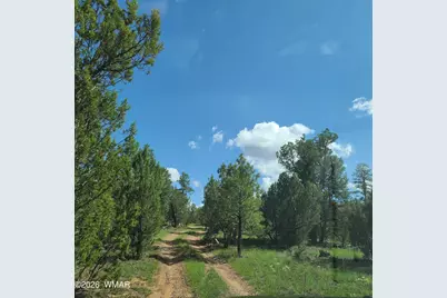 3091 Az-277, Overgaard, AZ 85933 - Photo 4
