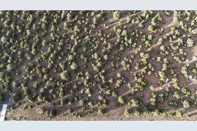 35555 Us-60, Vernon, AZ 85940 - Photo 2