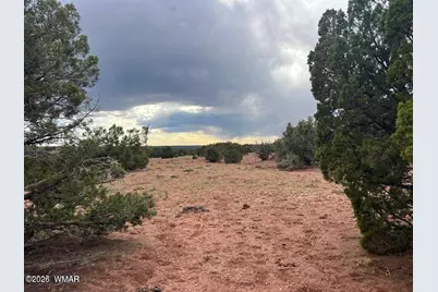 9286 Blackberry Lane, Show Low, AZ 85901 - Photo 14