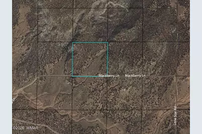 9286 Blackberry Lane, Show Low, AZ 85901 - Photo 2