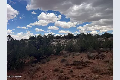 9286 Blackberry Lane, Show Low, AZ 85901 - Photo 8