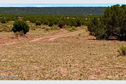 9286 Blackberry Lane, Show Low, AZ 85901 - Photo 12