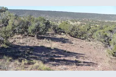 4389 S Sorrel, Snowflake, AZ 85937 - Photo 4