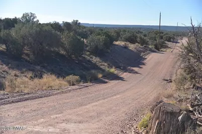 4389 S Sorrel, Snowflake, AZ 85937 - Photo 2