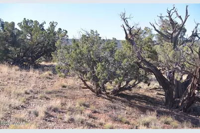 3908 Coronado Road, Snowflake, AZ 85937 - Photo 4