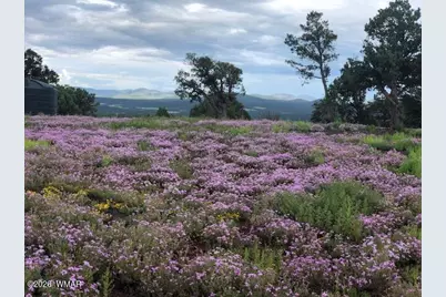 Lot 20 Mountain Pine Road, Vernon, AZ 85940 - Photo 6