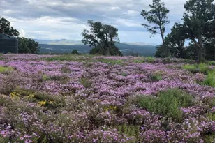 Lot 20 Mountain Pine Rd, Vernon, AZ 85940 - Photo 6