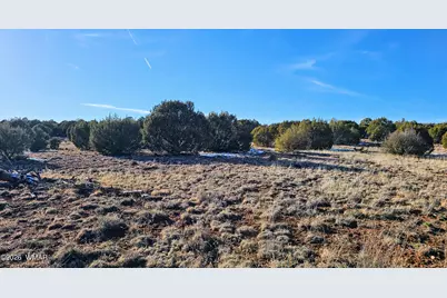 4964 Morning Glory Street, Clay Springs, AZ 85923 - Photo 10