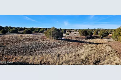 4964 Morning Glory Street, Clay Springs, AZ 85923 - Photo 4