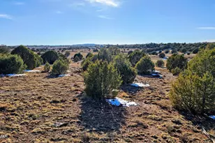 4964 Morning Glory St, Clay Springs, AZ 85923 - Photo 1