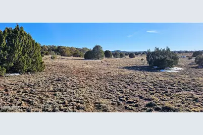 4964 Morning Glory Street, Clay Springs, AZ 85923 - Photo 2