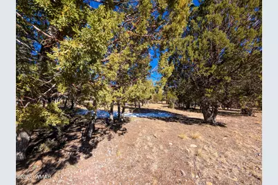 1462 Low Mountain Trail, Heber, AZ 85928 - Photo 2