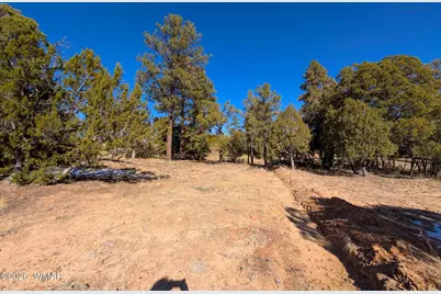 1462 Low Mountain Trail, Heber, AZ 85928 - Photo 8