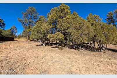 1462 Low Mountain Trail, Heber, AZ 85928 - Photo 6