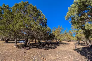 1462 Low Mountain Trail, Heber, AZ 85928 - Photo 1