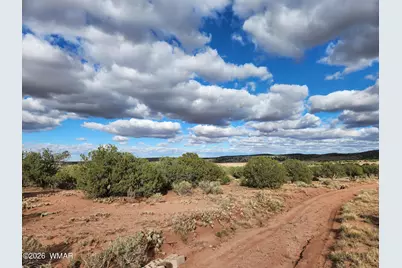 Lot 18 N8612, Concho, AZ 85924 - Photo 6
