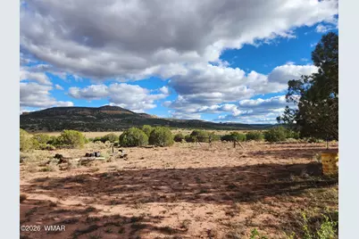 Lot 18 N8612, Concho, AZ 85924 - Photo 36
