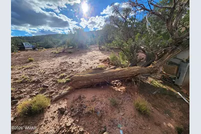 Lot 18 N8612, Concho, AZ 85924 - Photo 32