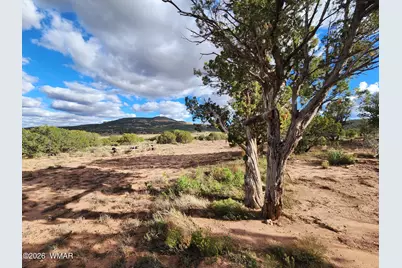 Lot 18 N8612, Concho, AZ 85924 - Photo 34