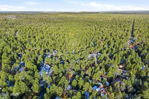 6512 White Pine Dr, Lakeside, AZ 85929 - Photo 30