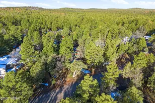 6512 White Pine Dr, Lakeside, AZ 85929 - Photo 28