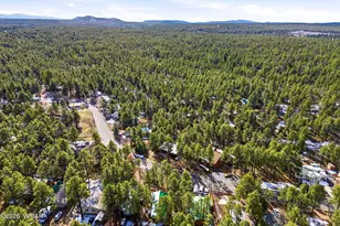 351 W Yeager Ln, Lakeside, AZ 85929 - Photo 34