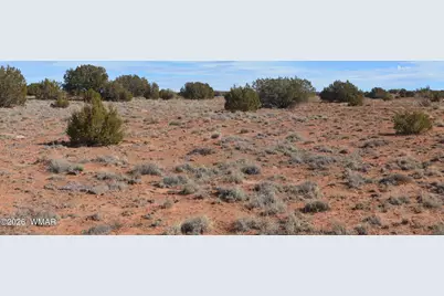 3988 Antelope Ridge Road, Snowflake, AZ 85937 - Photo 2