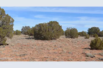 3988 Antelope Ridge Road, Snowflake, AZ 85937 - Photo 1