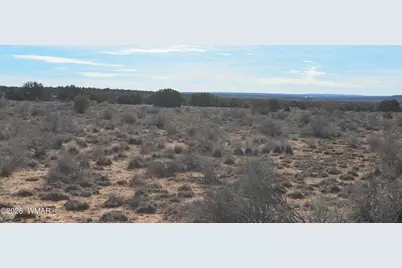 3988 Antelope Ridge Road, Snowflake, AZ 85937 - Photo 4