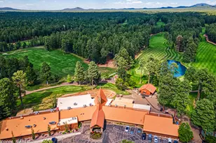 2745 Blue Lake Cir, Pinetop, AZ 85935 - Photo 10