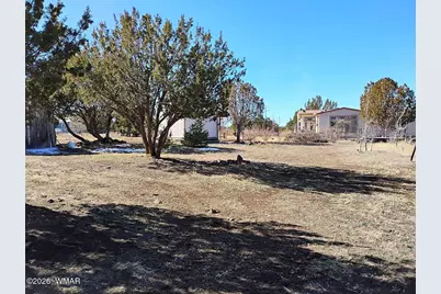 8850 Happy Trail, Show Low, AZ 85901 - Photo 24