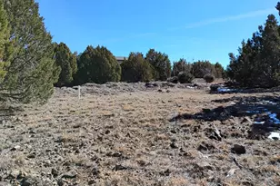 8850 Happy Trail, Show Low, AZ 85901 - Photo 28