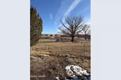 16 Mellon Lane (County Road 5099), Concho Valley, AZ 85924 - Photo 14