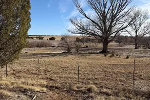 16 Mellon Ln (County Road 5099), Concho Valley, AZ 85924 - Photo 14