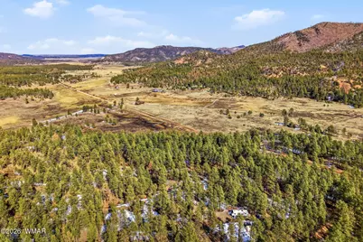 9 Co Rd 2269, Nutrioso, AZ 85932 - Photo 42