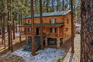 9 Co Rd 2269, Nutrioso, AZ 85932 - Photo 8