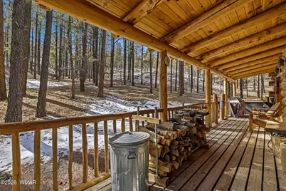 9 Co Rd 2269, Nutrioso, AZ 85932 - Photo 36