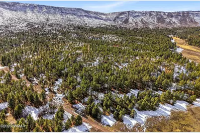 9 Co Rd 2269, Nutrioso, AZ 85932 - Photo 40