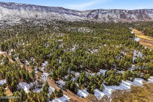 9 Co Rd 2269, Nutrioso, AZ 85932 - Photo 40