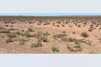 7785 Quail Street, Sun Valley, AZ 86029 - Photo 4