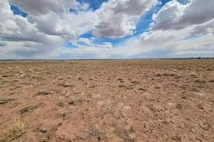 7785 Quail St, Sun Valley, AZ 86029 - Photo 1