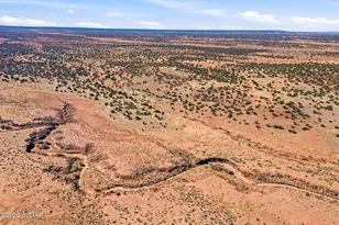 532 N8570 (Moongap), Concho, AZ 85924 - Photo 36