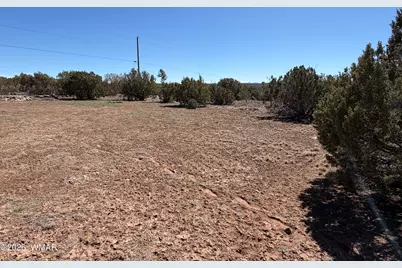 63 County Road, Concho, AZ 85924 - Photo 8