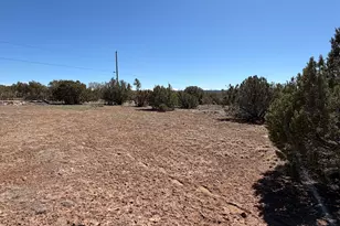 63 County Rd, Concho, AZ 85924 - Photo 8