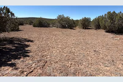 63 County Road, Concho, AZ 85924 - Photo 6