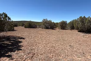 63 County Rd, Concho, AZ 85924 - Photo 6