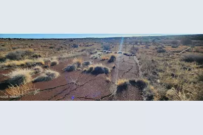 Tbd 110 Acres 180 &amp; 180A, Concho, AZ 85924 - Photo 12